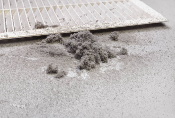 Best Local Air Duct Cleaning Services  in South River, NJ