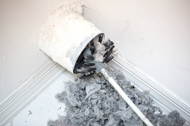 Air Duct Mold Removal in NJ